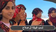 ما هو أصل و نسب قبيلة آل صلاح؛ ال صلاح وش يرجعون