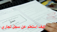 شرح طريقة الاستعلام عن سجل تجاري بالاسم في مصر