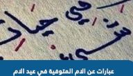 كلام عن عيد الأم المتوفية مؤثر جداً