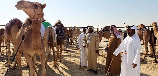 أفخاذ قبيلة حرب بالكامل وأشهر فروع حرب