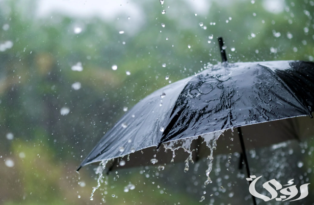 اجمل ما قيل من عبارات عن المطر والغيم