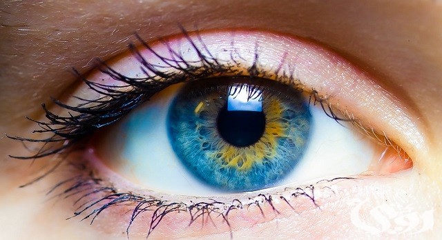 الرد على العين أوسع من الدار