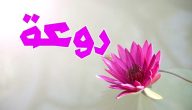 الرد على كلمة روعة من خلال 59 عبارة