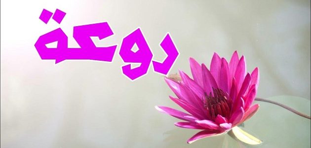 الرد على كلمة روعة من خلال 59 عبارة