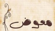 الرد على معوض خير