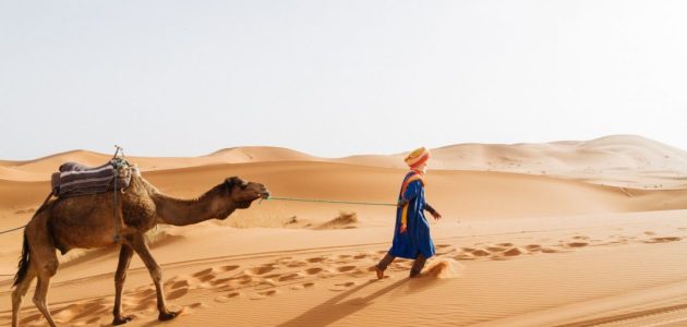 الرويلي وش يرجعون