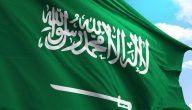 أصل الزايدي وش يرجع؛ هل تعود الى قبيلة عتيبة ؟