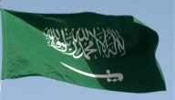 أصل عائلة النهدي وش يرجع