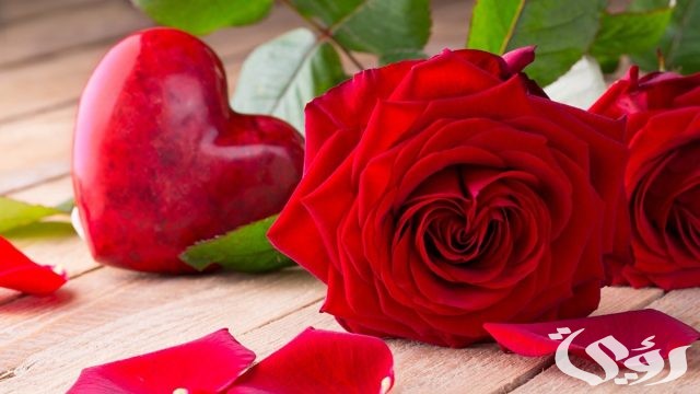 رسائل و8 عبارات صباح الحب والشوق لحبيبتي/حبيبي