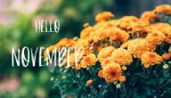 شهر نوفمبر November كم ترتيبه بالميلادي والهجري