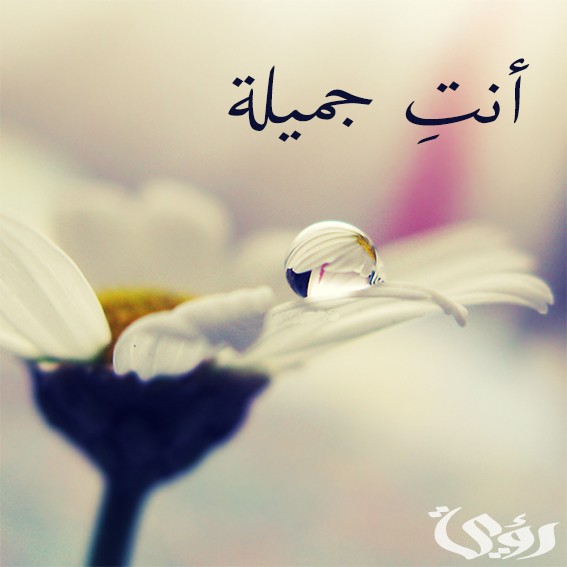 إذا أحد قال لي انتي جميله وش أرد