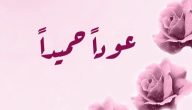 الرد على عودًا حميدًا