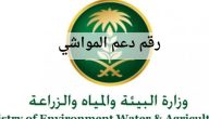 رقم دعم المواشي المجاني