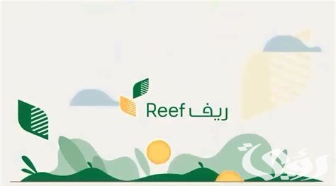 8 شروط للحصول على الدعم الريفي للنساء مع شرح التسجيل