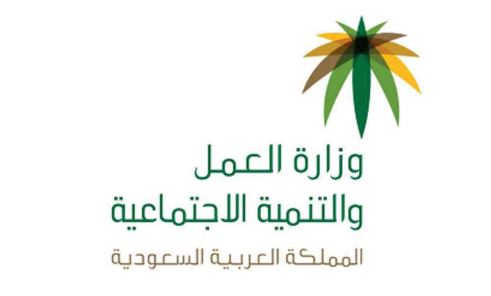 شرح الاستعلام عن صلاحية الإقامة بدون منصة أبشر