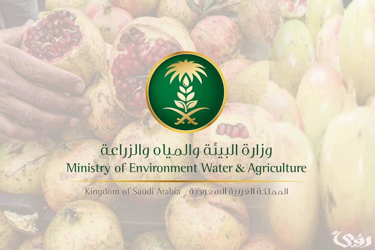 برنامج دعم صغار مربي الماشية 1445