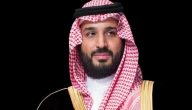 كتابة برقية لمحمد بن سلمان والديوان الملكي