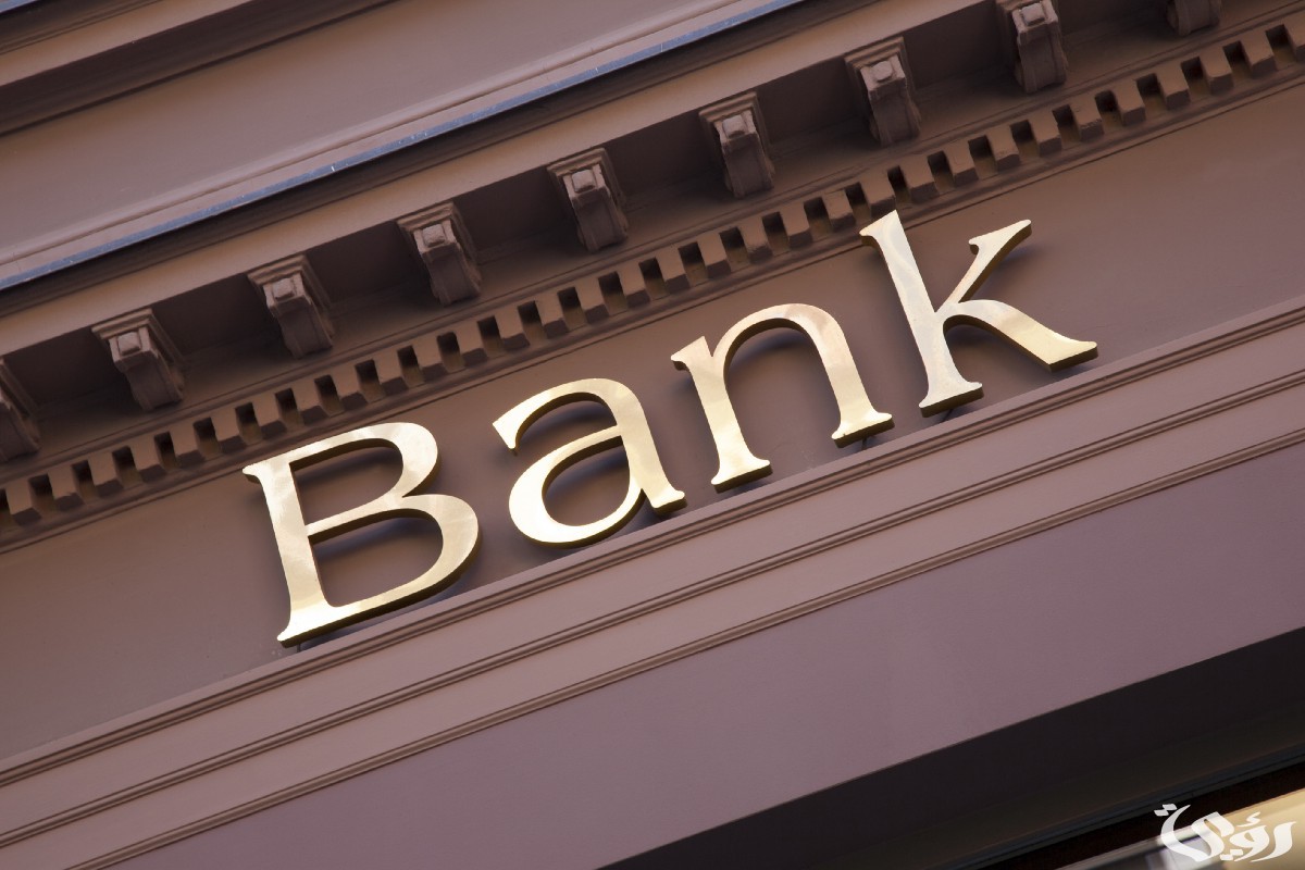 هل يعتبر البنك من المؤسسات العامة