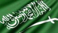 اكبر جالية في السعودية