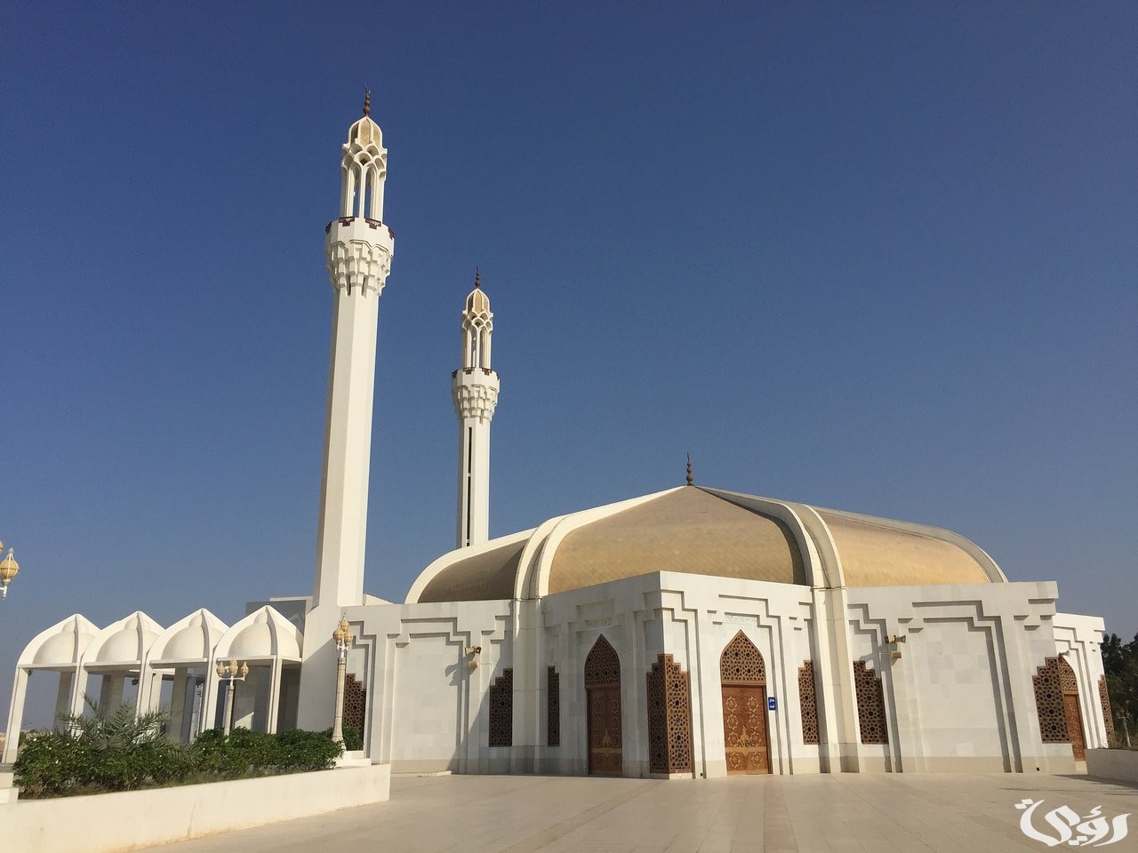 عدد المساجد في السعودية