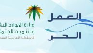أسماء المهن المسموح بها في وثيقة العمل الحر