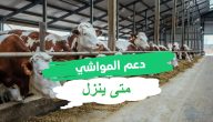 متى ينزل دعم المواشي هذا الشهر