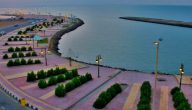 ما هو الرمز البريدي للقنفذة جميع الاحياء