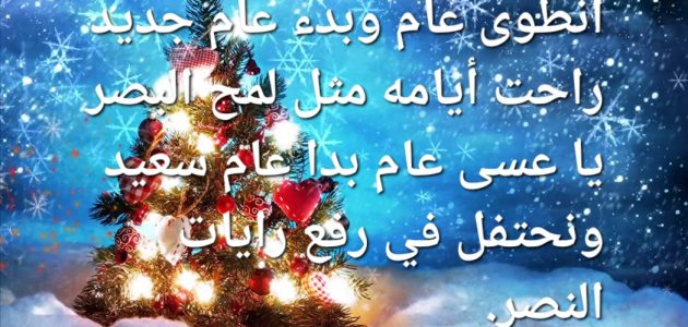 apps.19500.13583351826131131.ef103362 3c62 4146 b5e6 572c3381fb0f