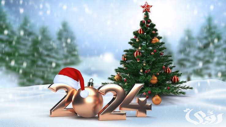 images 2023 12 18T150539.884