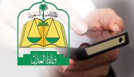 كم يستغرق رفع إيقاف نظام الخدمات (najiz.sa)