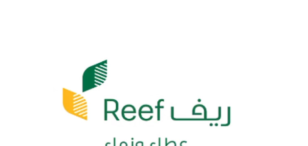 كم مبلغ دعم منصة ريف للمواطنين