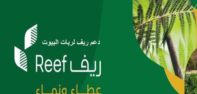 كم مبلغ دعم منصة ريف للمواطنين