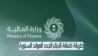 إضافة الأبناء إلى العوائد السنوية في السعودي .. وزارة المالية توضح