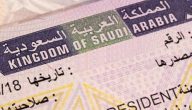خطوة بخطوة.. خطوات الاستعلام عن تأشيرة العمرة السعودية برقم الجواز 2026