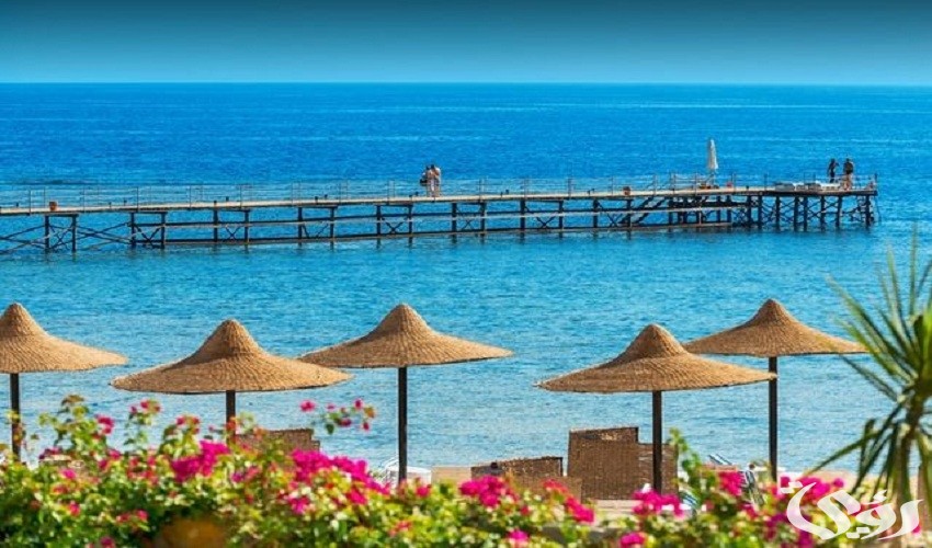 سعر تذكرة الطيران من الرياض الى شرم الشيخ