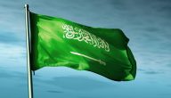 ضوابط وشروط العفو الملكي السعودي الجديد 1447 والقضايا المشمولة