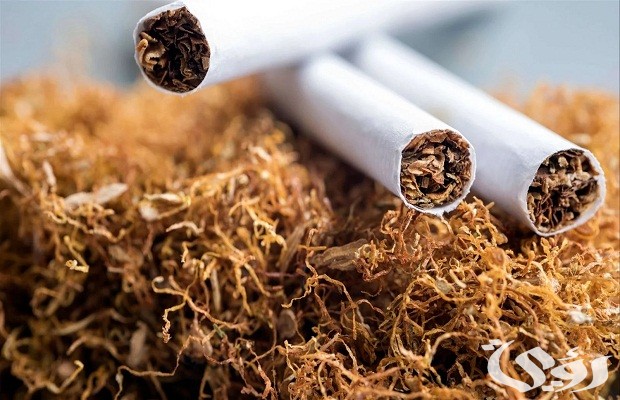 كم السجائر المسموح باستيرادها للفرد ومتى تعفى من الرسوم الجمركية