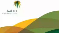 الموارد البشرية توضح شروط الكفالة في السعودية