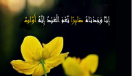 من هو النبي الذي جاء بعد يوسف