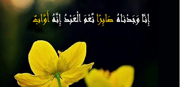 من هو النبي الذي جاء بعد يوسف