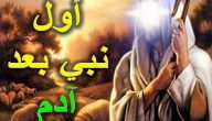 من هو النبي الذي جاء بعد سيدنا ادم