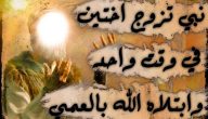 من هو النبي الذي جمع بين اخوتين