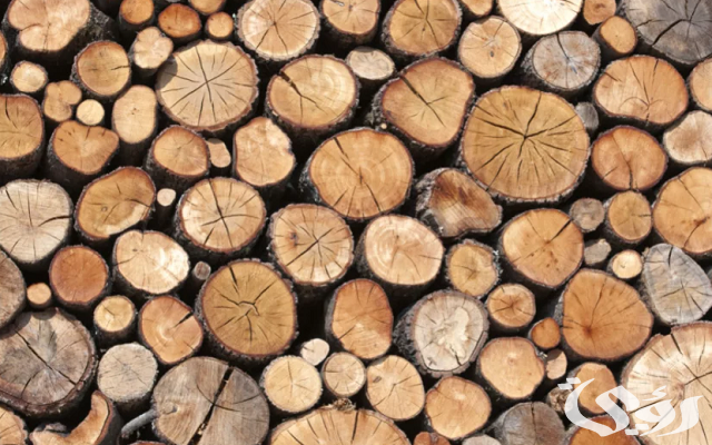اسعار الخشب السويدي اليوم 2024