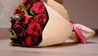 عبارات كابشن تكتب ع الورد