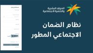 وزارة الموارد البشرية تعلن كم دعم الكهرباء من الضمان الاجتماعي المطور