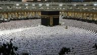 متى ينتهي التقديم لحج عام 1447.. “نسك” يوضح الضوابط