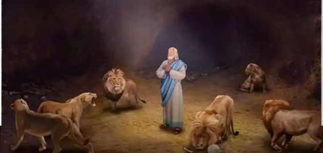 من هو النبي الذي حبس مع اسدين