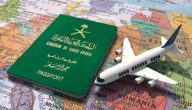 نموذج الجوازات عبر منصة أبشر