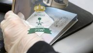 هل يمكن تحويل الزيارة الشخصية إلى إقامة أو عقد عمل؟.. “الجوازات” تجيب