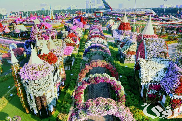 كيفية حجز تذاكر "حديقة الزهور" في دبي 2024 وأسعارها ومواعيد العمل